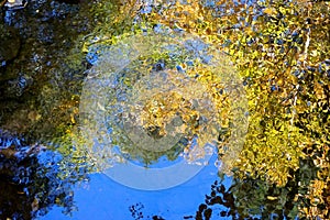 The reflection of leaves in a stream create impressionist patterns and textures