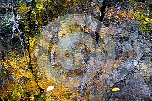 The reflection of leaves in a stream create impressionist patterns and textures