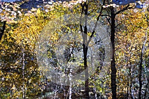 The reflection of leaves in a stream create impressionist patterns and textures