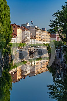 Reflection in Ljubljanica river on a summer morning