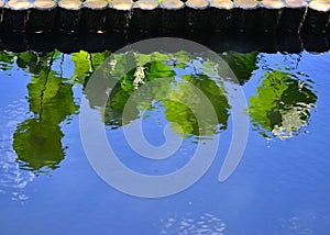 Reflection of lotus leaves on the water surface, Kyoto Japan.