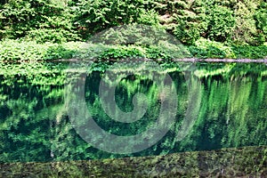 Reflection in Lubochniansky tajch lake in Lubochnianska dolina valley in Velka Fatra mountains