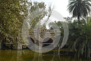 A reflection and mesmerizing view from the side of the pond,lake of palm trees and bridge monument at lodi garden or lodhi gardens