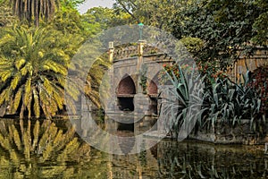 A reflection and mesmerizing view from the side of the pond,lake of palm trees and bridge monument at lodi garden or lodhi gardens