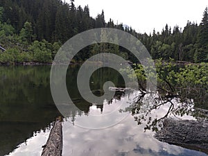 Reflection of mountain and forest