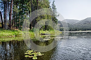 Reflection on a mountain lake