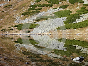 Reflection in a mountain lake