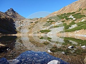 Reflection in a mountain lake