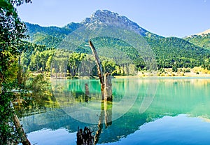 Reflection of mountain and trees on lake Doxa.