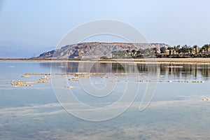 Reflection of mountains and palm trees in the salty water of the Dead Sea