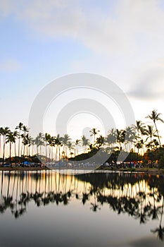Reflection over Ala Moana Beach Park photo