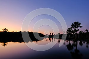 Reflection of the palm trees in the lagoon Lagoa das Araras at sunrise, Bom Jardim, Mato Grosso, Brazil, South America photo