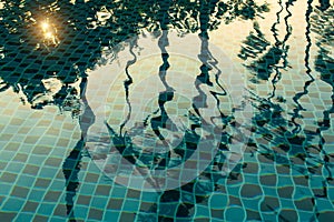 Reflection of palm trees in the pool water in Sunny weather. Nature.