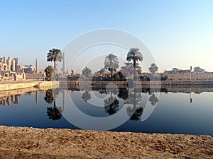 Reflection of palms photo