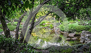 Reflection in peaceful oriental landscaped pond seen from under tree braches with paved walking path around it