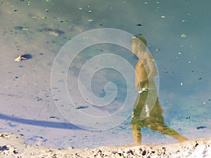 Reflection of a person in the puddle of water at Ondina beach