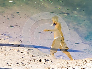 Reflection of a person in the puddle of water at Ondina beach