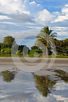 Reflection. Playa El Espino photo
