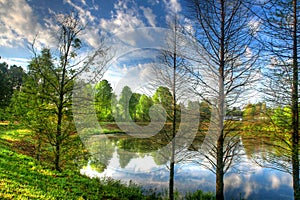 Reflection of a Pond