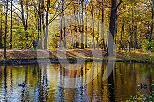 Reflection in the pond on Elagin Island in St. Petersburg in autumn .
