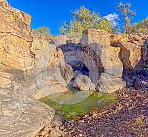 Reflection pool in MC Canyon Arizona