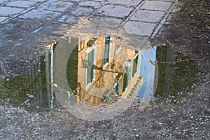 A reflection in a puddle