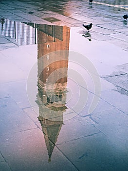 Reflection on a puddle of the bell tower of the church of San Marco, Campanille, Venice, Italy with pigeons