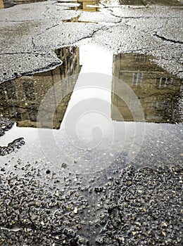 Reflection in a puddle