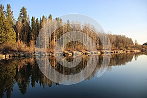 Reflection Riparian Forest Williamson River