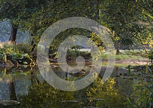 Reflection on a river in Jura, France