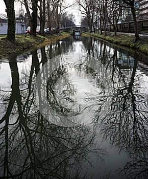 Reflection photo