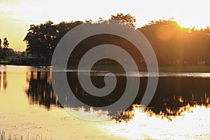 Reflection river and shadow tree in water beautiful sunset nature