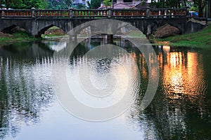 Reflection river and shadow tree in water beautiful sunset nature