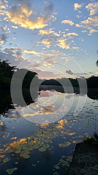 Reflection in River at Sunset Rio Nuevo, Orange Walk, Belize