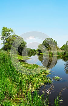 Reflection on river Zala