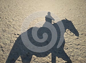 Reflection on the sand a man riding a horse silhouette rider