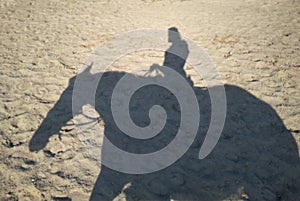 Reflection on the sand a man riding a horse silhouette rider