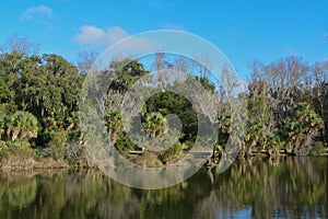 Reflection of shoreline at Kathryn Abbey Hanna Park, Duval County, Jacksonville, Florida.