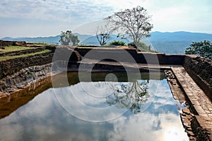 Reflection of a single tree in a natural pool at the top of a famous landmark - Sigiriya Lion Rock Fortress in Sri Lanka. UNESCO