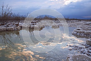 Reflection of the sky, clouds and trees in the water of the Dead Sea between salt formations at sunrise
