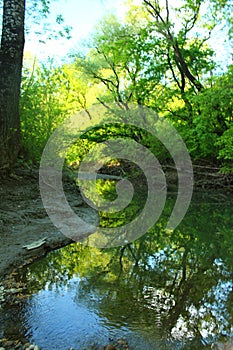 The reflection of the sky