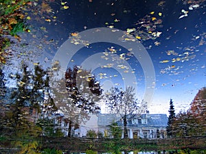 Reflection of sky in pond