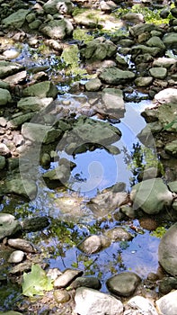 Reflection of Sky in a puddle