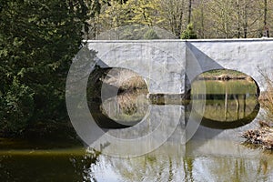 Reflection of sky and trees in the fish pond in the garden