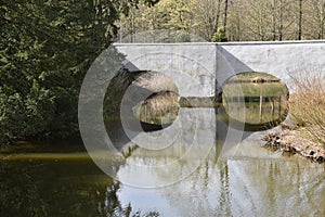 Reflection of sky and trees in the fish pond in the garden