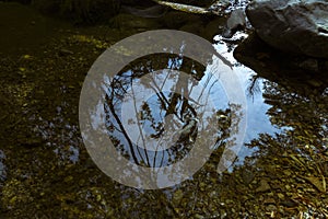 Reflection of the sky in the water