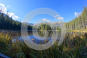 Reflection on Smreczynski lake in Koscieliska Valley, Tatras Mountains in Poland