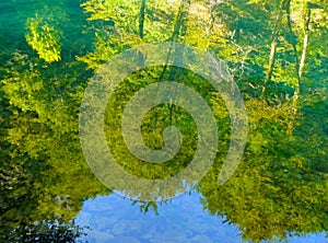 Reflection on the spring of the river Kupa.