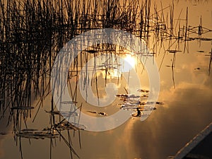 A reflection of sun rise in the Talay Noi lake in Phatthalung province, Thailand