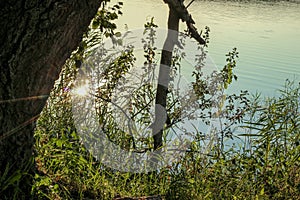 Reflection of the sun in the water, in the lake.